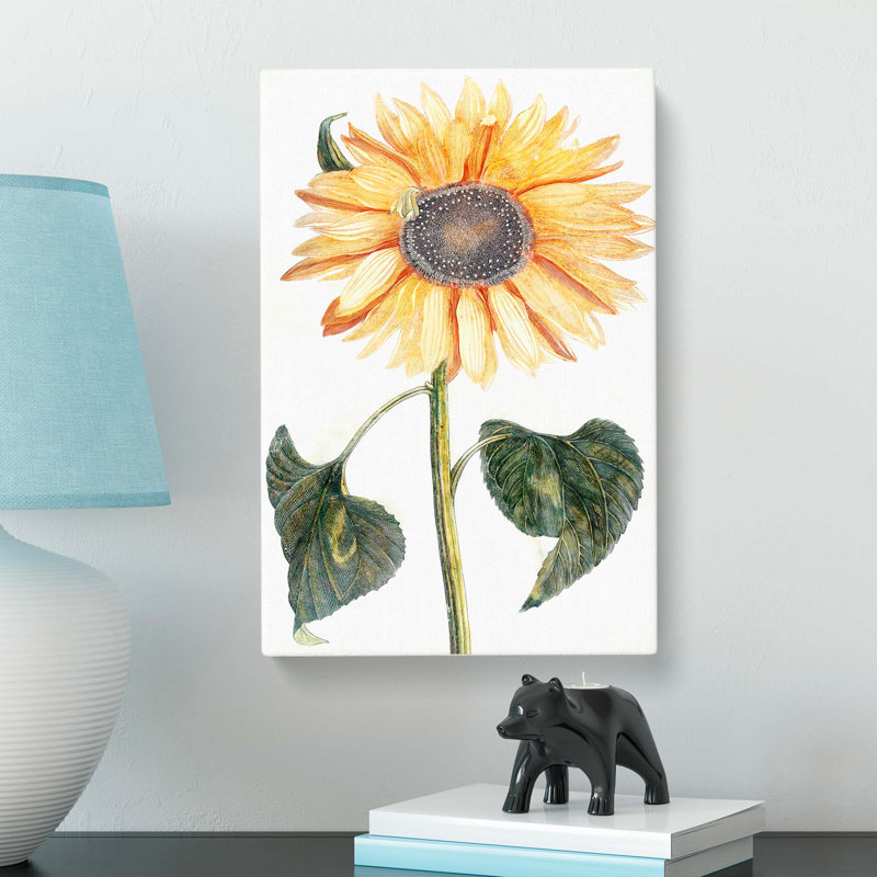 Sunflower by Johan Teyler - Wrapped Canvas, 50cm H x 35cm W x 3cm D