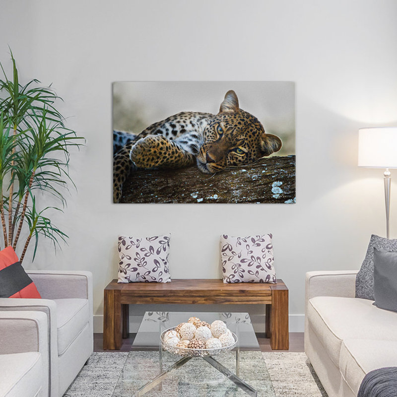 «Lounging Leopard» par Panoramic Images, reproduction de photo sur toile tendue, H 18 po x l 26 po x P 1,5 po, Toile tendue