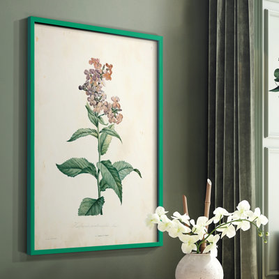 «Traditional Botanical II», reproduction encadrée - bois massif