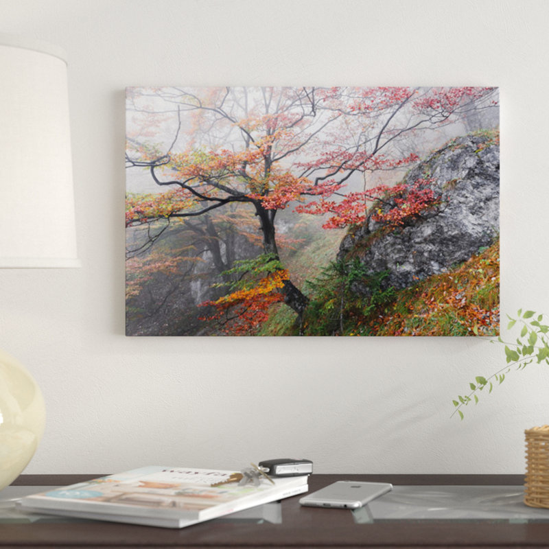 «Euphoria», reproduction de photo sur toile, H 18 po x l 26 po x P 1,5 po, Pas de tapis, Toile tendue
