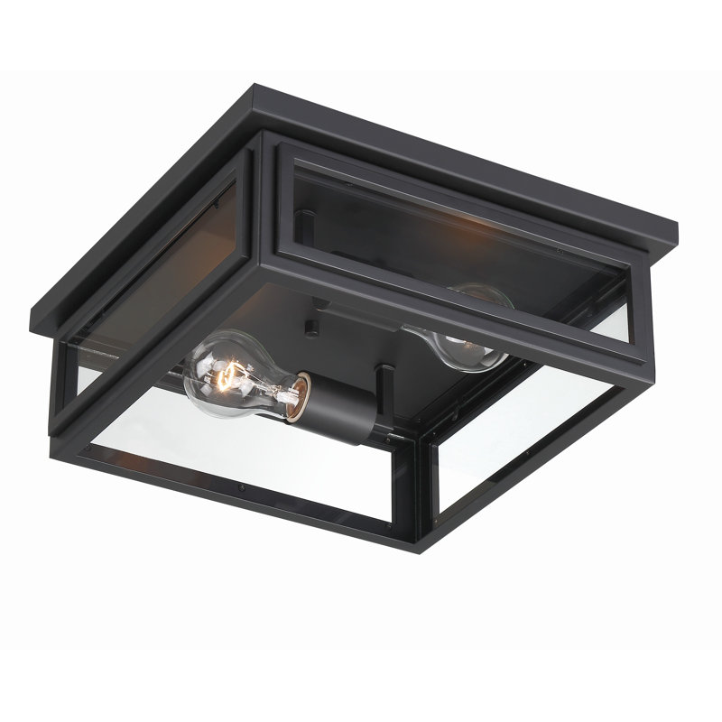 Matte Black and Clear Glass 2-Light Outdoor Flush Mount