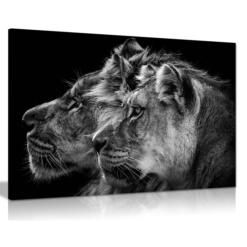 Lion And Lioness Portrait - Wrapped Canvas Art Prints, 61cm H x 91cm W