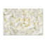 « white pivoine fleur », reproduction de photo sur toile tendue-31106326