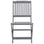 Ensemble de 2 chaises d'extérieur vidaXL