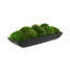 Moss Preserved in Oblong Planter-2127730664