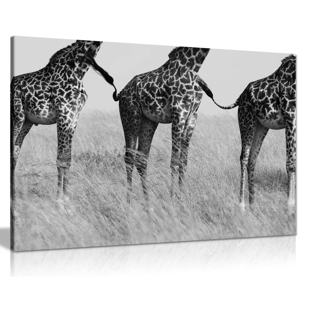 African Safari Giraffe Connection Wildlife - Wrapped Canvas Photograph