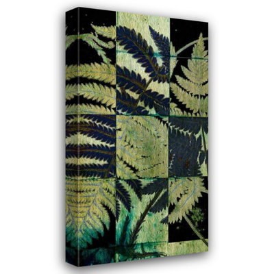 Rosalind Wheeler Vision Studio Gallery Wrapped Canvas Art Titled: Midnight Ferns I