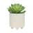 S/2 6/8" Textured Planters-501651233