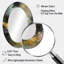 Gold Fern Whispers - Traditional Oval Wall Mirror-1129896532