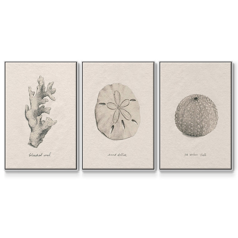 Shore Treasure Study I 3 pièces, H 40 po x l 78 po, Blanc