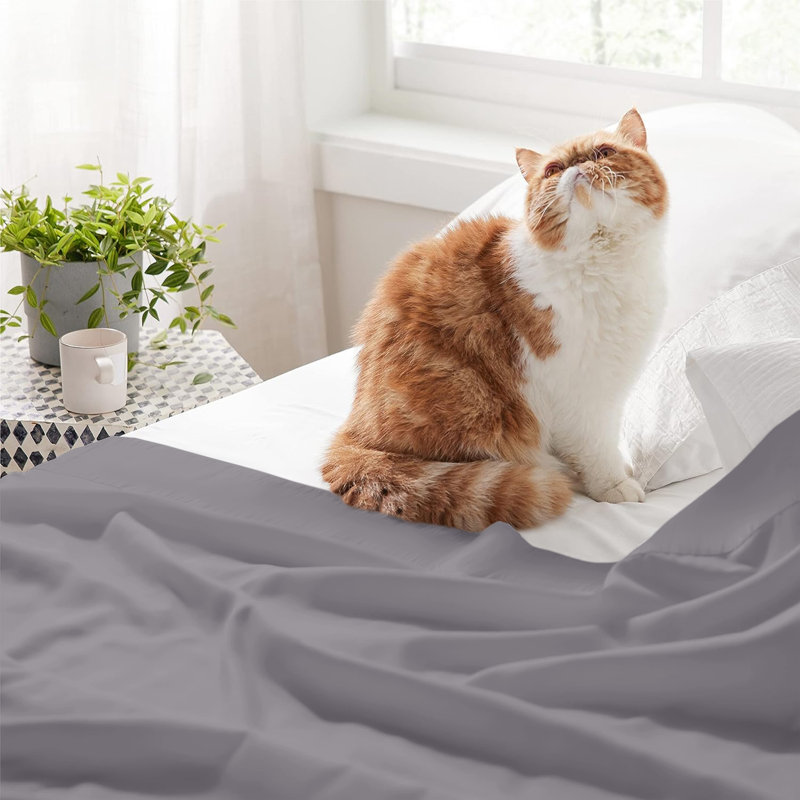 Nycolas 100% Cotton Flat Sheet, Grey, Super King (6')