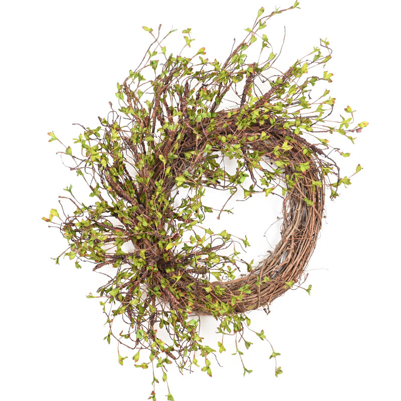 26" Spring Grapevine Wreath for Front Door, Brown/Green