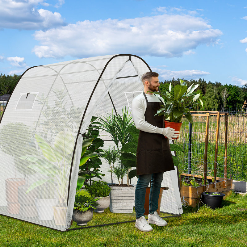 Casch 6 Ft W x 6 Ft D Mini Lean-To Greenhouse