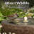 Round Bowl LED Outdoor Bubble Fountain - Brown-1345597759-1345597758