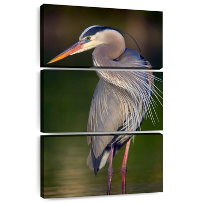 Brampt Wild Great Blue Heron I