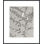 Lucent Botanicals 4 Print by Darrell Kincer