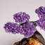 Genuine Amethyst Clustered Gemstone Tree On Citrine Matrix (4 In.)(The Empowerment Tree)