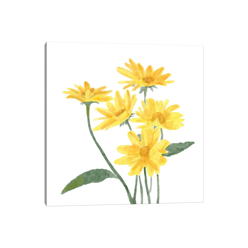 Wildflower Group I by Bannarot - Wrapped Canvas Print, 30.48 cm H x 30.48 cm W
