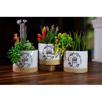 LOVE GROWS HERE PLANTERS 5", 3 ASST