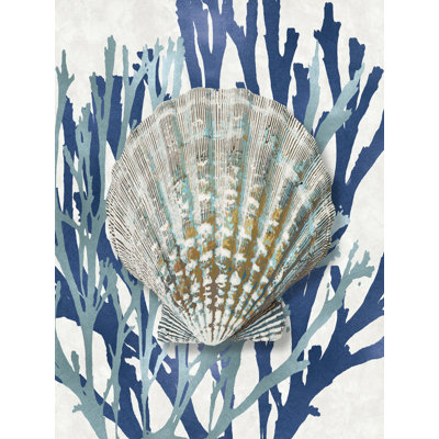 " Shell Coral Aqua Blue IV " by Caroline Kelly