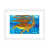 White Framed Paper
