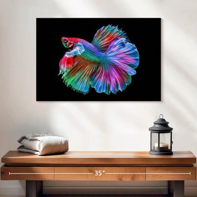 Poisson Betta chromatique