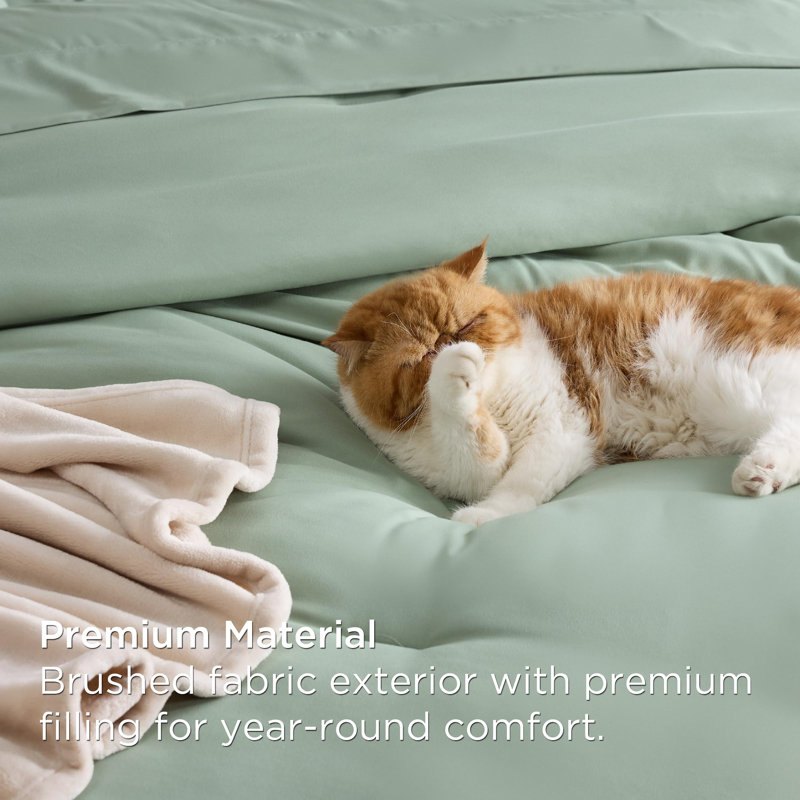 Sage Green Queen Microfiber Bedding Set with Flannel Blanket