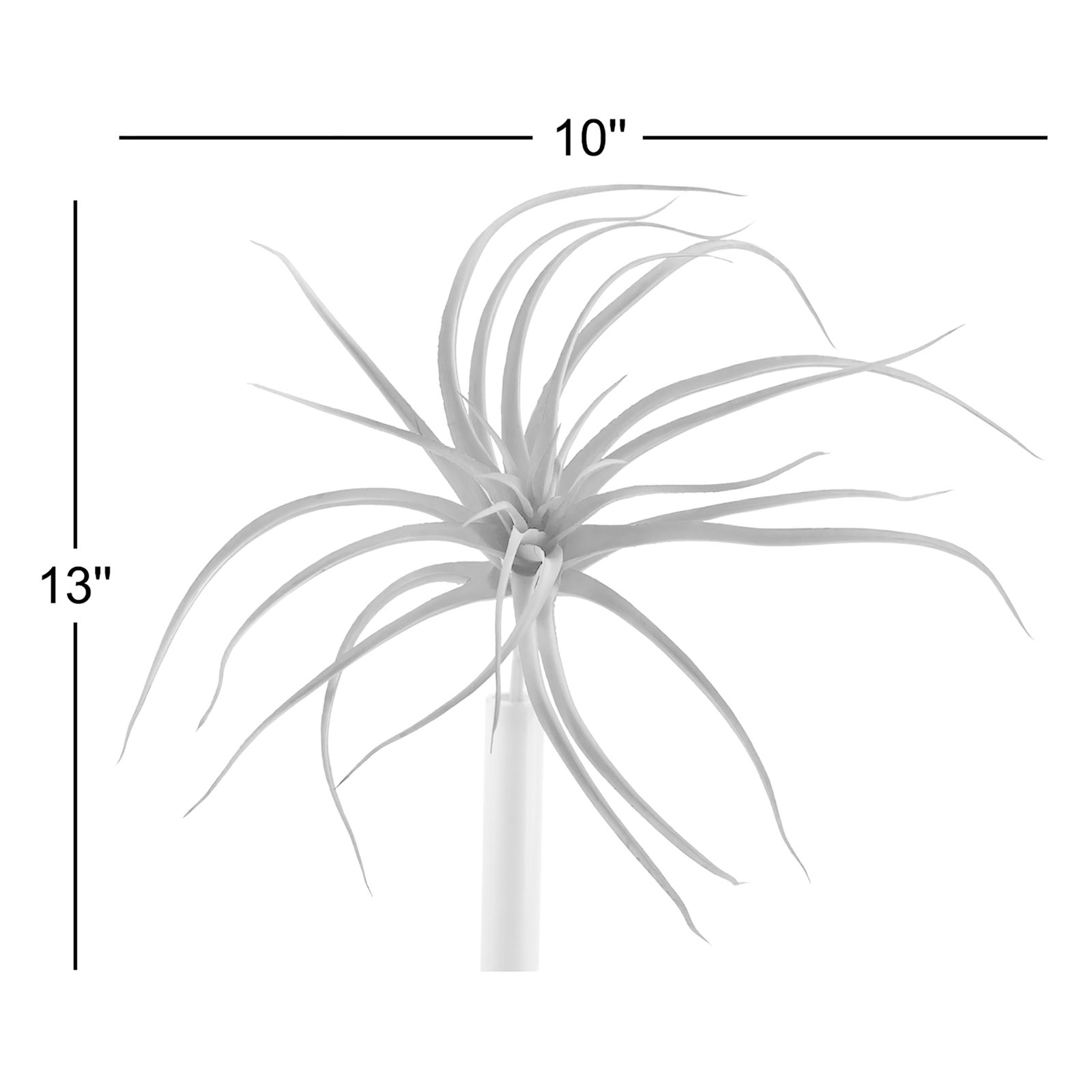 Tillandsia Floral Stems
