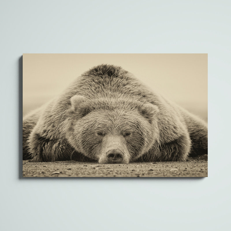 Hackworth " Deep Sleep ", 32" H x 48" W, Wrapped Canvas, No Frame
