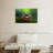 Brampt Happy Tree Frog-107694556