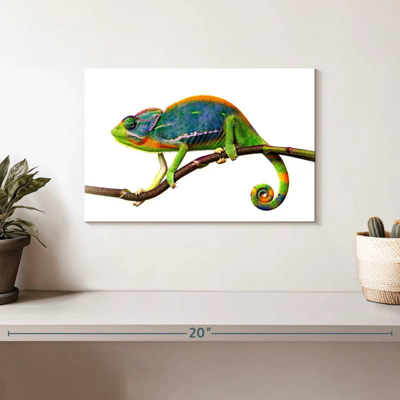 Still Chameleon, 8" H x 12" W