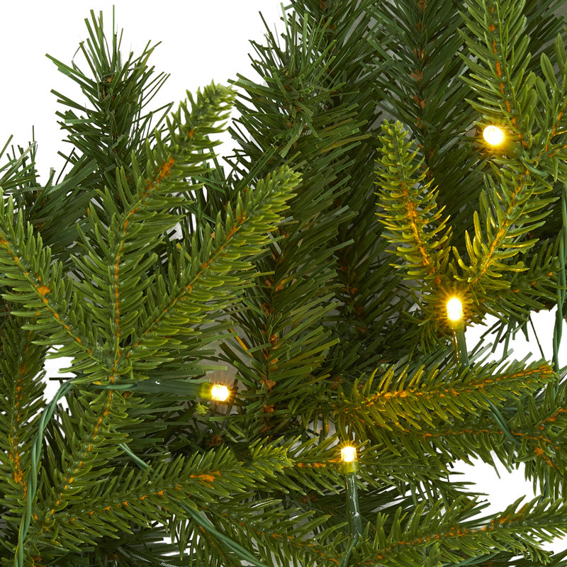 guirlande de 6 pi 35 lumières claires