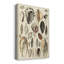 «Seashell», impression sur toile tendue-1519348042