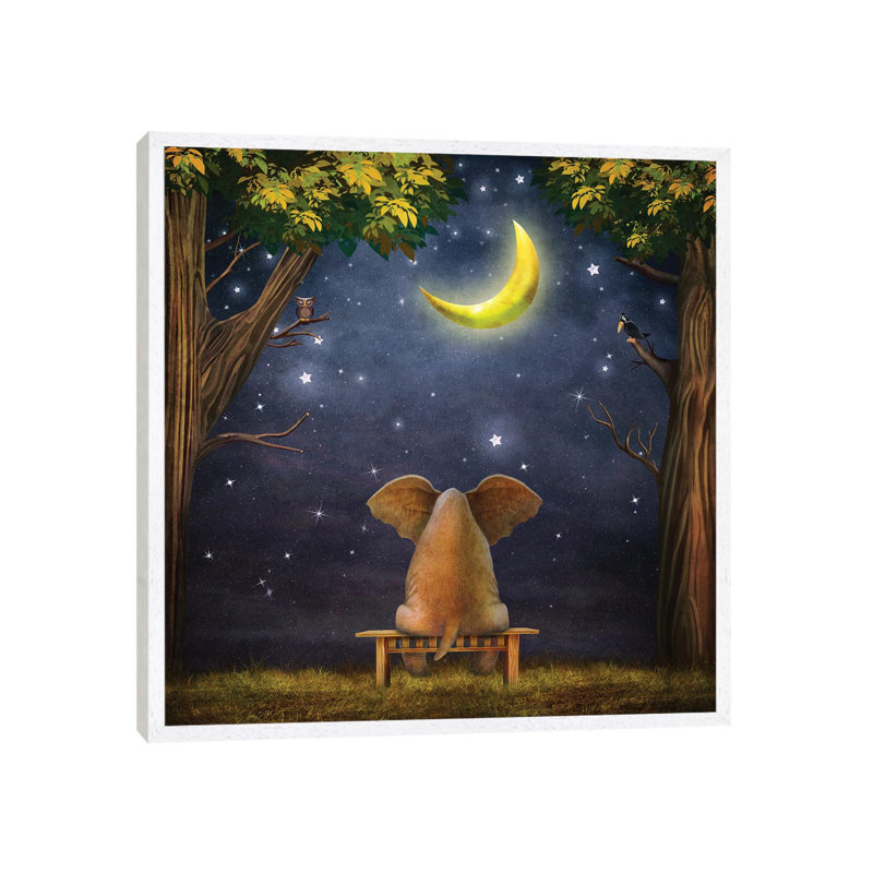 Elephant On A Bench In The Night Forest - Print on Canvas, 66.04 cm H x 66.04 cm W, White Framed