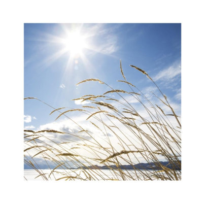 Beach Horizon Print by Henrik Lund