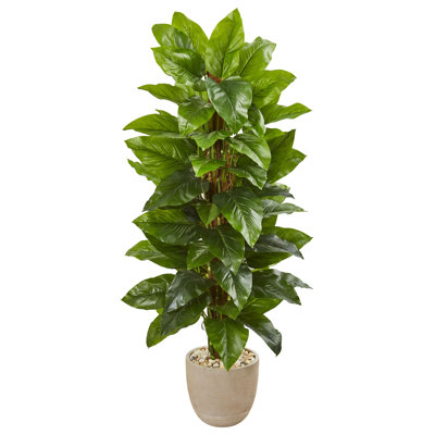 58'' Faux Philodendron Tree in Earthenware Pot