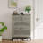 Shoe Storage Cabinet with 2 Flip Drawer & Top Drawer, Adjustable Shoe Rack for Entryway-1608414407