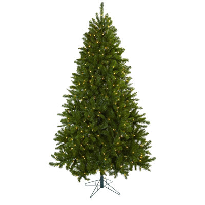 Sommer 90' H Lighted Artificial Fir Christmas Tree