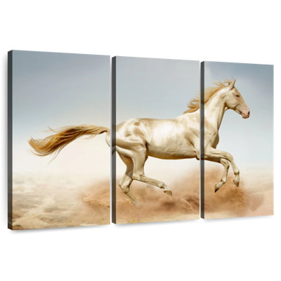 Brampt Running Akhal Teke Horse