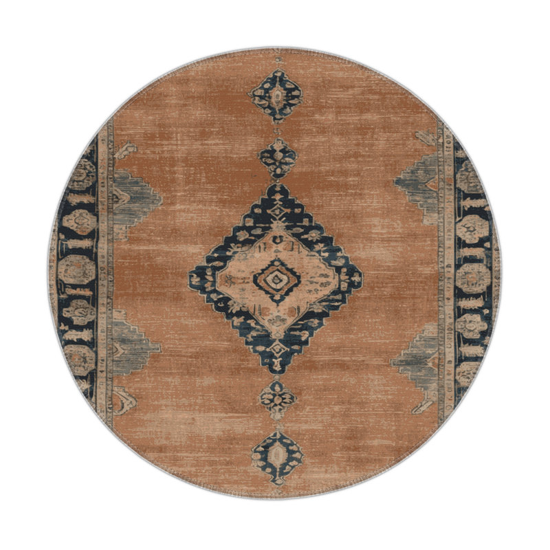Tapis intérieur et extérieur brun Overdyed, Rond 5 pi