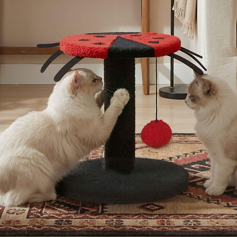 Poteau à griffer pour coccinelle, griffoir pour chat avec corde en sisal et boule de suspension interactive, poteau à griffes de 10 pouces pour chats d'intérieur et chatons