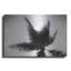 «Palm Tree Look Up IV» par Debra Van Swearingen-532693261