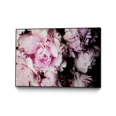" Peonies Galore I " by Elizabeth Urquh