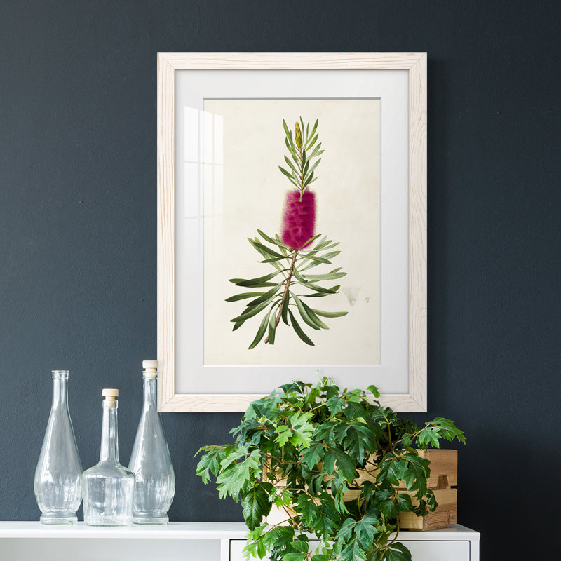 «Pretty Botanicals VII», impression encadrée, Cadre blanc, H 44 po x l 31 po x P 1 po