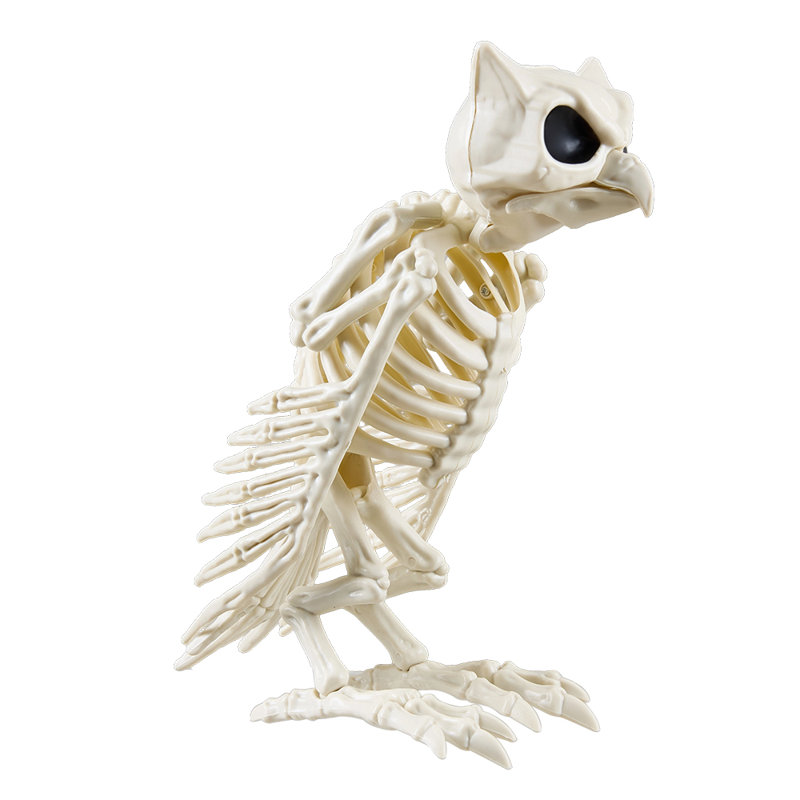 Halloween Decorative Accent