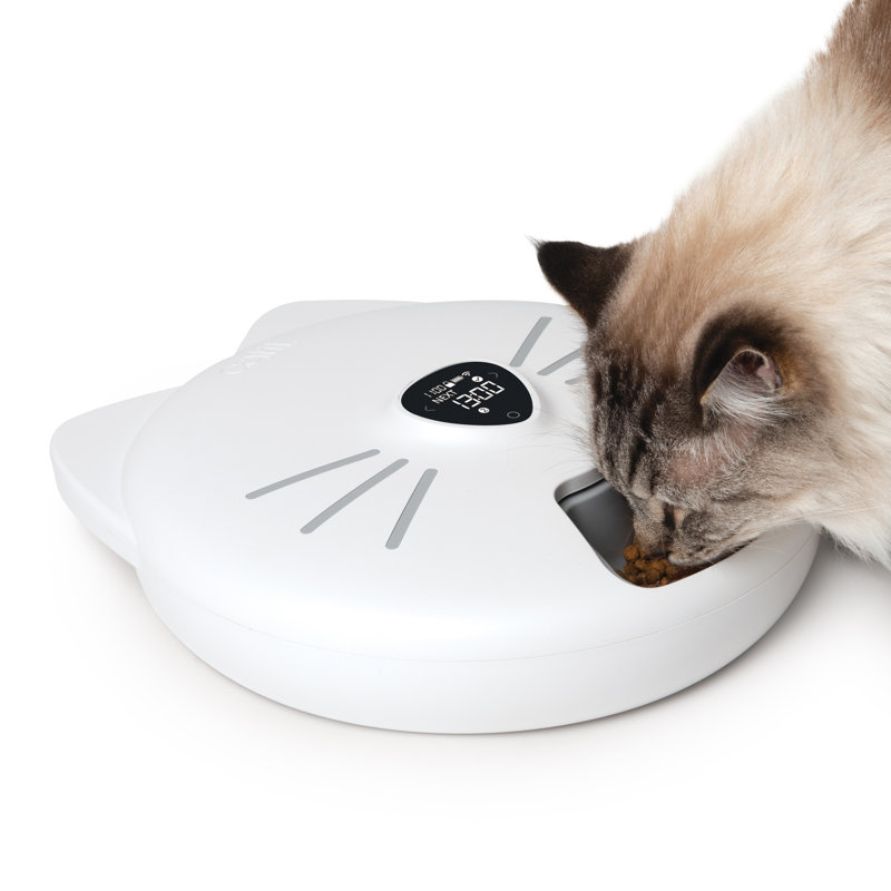 White Programmable Plastic 6-Meal Cat Feeder