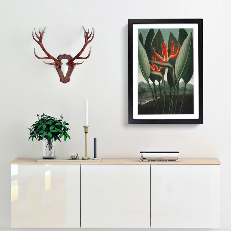 Exotic Flowers by R.J. Thornton - Picture Frame Painting Print, 36cm H x 27cm W x 2cm D, Black Framed