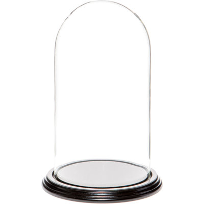 Cloche à dôme en verre 5,5 "x 10" Jenett