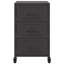 Aneyah 36cm W Steel Bedside Table-447055220
