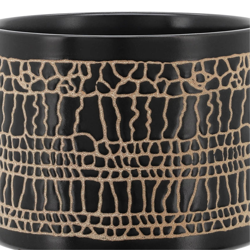 Jardinière en céramique noire avec support, une option élégante pour vos plantes grasses, support à plante d'intérieur
